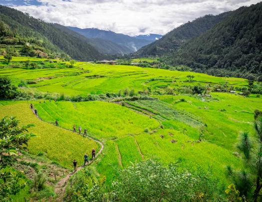 Open grass valley with a group of hikers walking one a dirt path