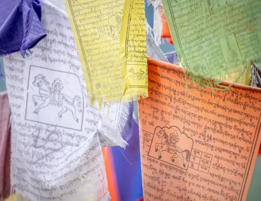 Colorful clothes with artwork