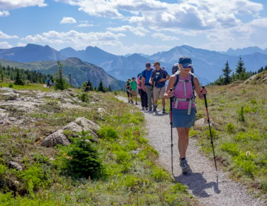 Group of hikers on a gravel trail, surrounded by bushes and plants, with tall mountains in the distance