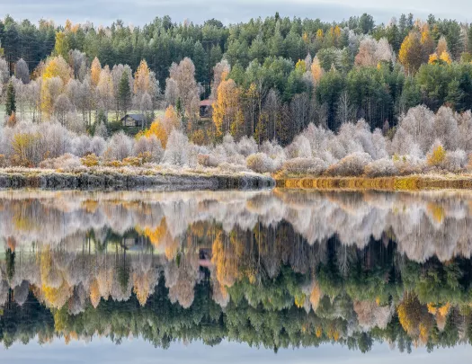 Lake surrounded by gray and orange trees with the reflection on the water