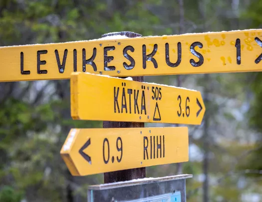 Yellow sing with three arrows pointing in different directions