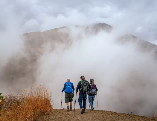 the back of three hikers approaching a foggy mountain