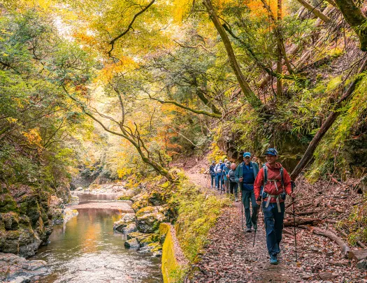 A line of hikers pass by a river