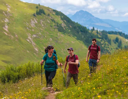 Adventure walking tours online