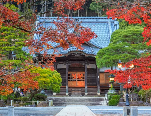 Japanese-style building surrounded by red and green trees