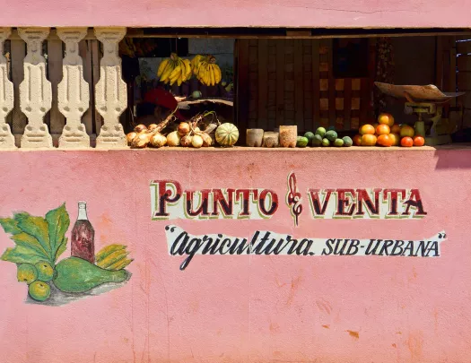 Fruit stand with pink walls and fruit on a shelf