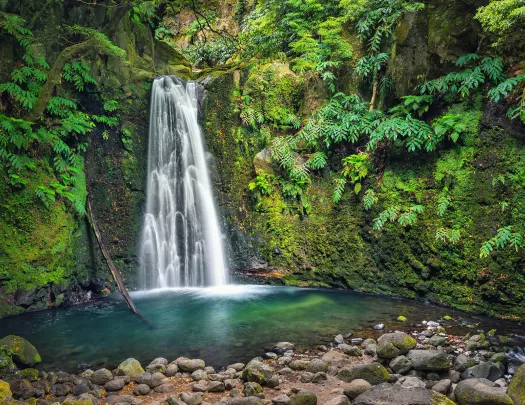 Active waterfall in the middle of a forest, with a pond on the grand floor