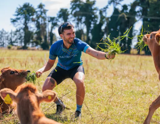 Man feeding grass to three cows