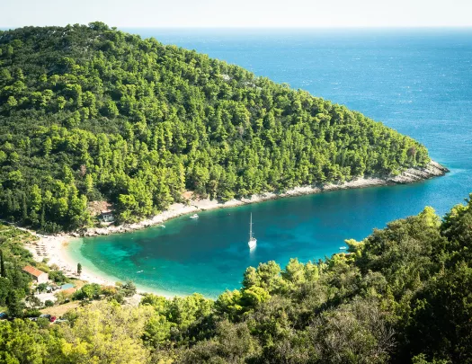 Lake connected to the ocean with tall trees to the left