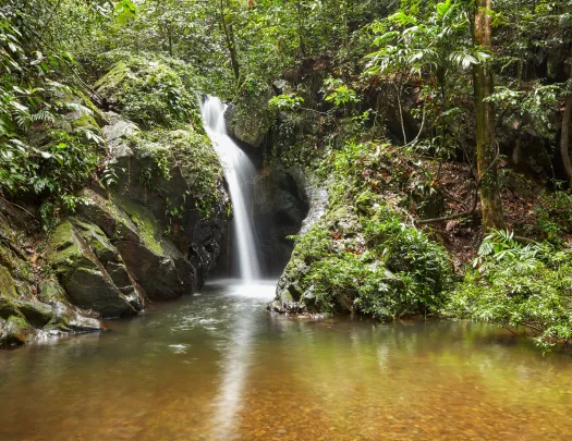 Lake inside of a forest, with a waterfall in the back