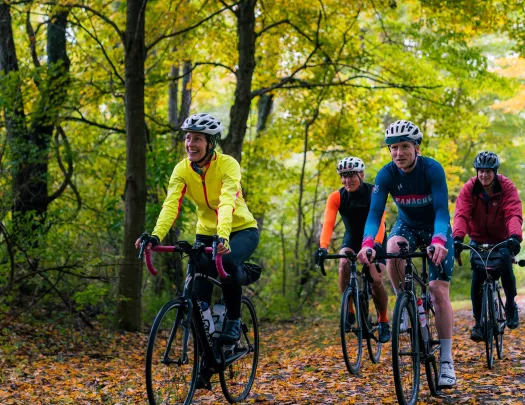 One woman and 3 men riding bikes on a road full of trees and leaves