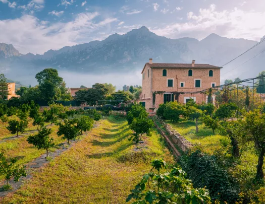 Large crop field with a stone building in the background