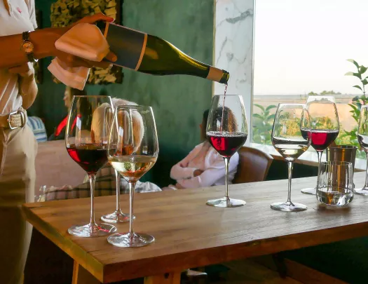 Person pouring a bottle of wine into wine glasses