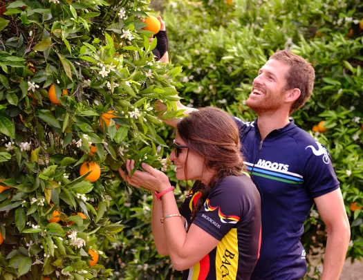 Man and woman picking oranges and smiling