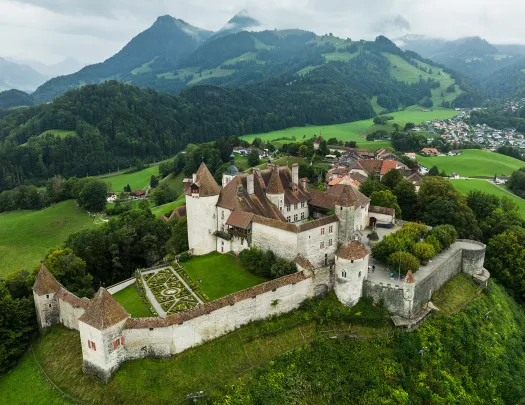 Castle-like building in a large valley, with a forest in the background