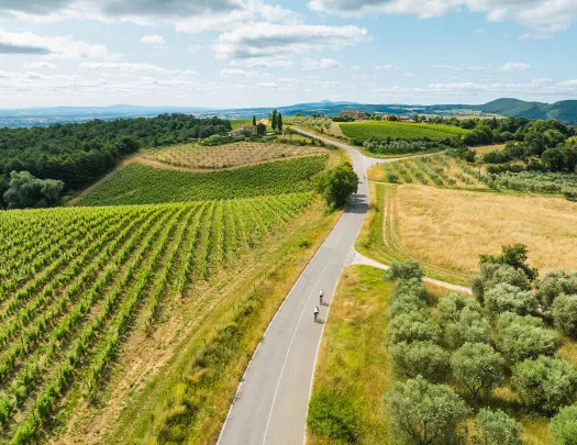 Two people riding bikes on an empty road, surrounding by crop fields