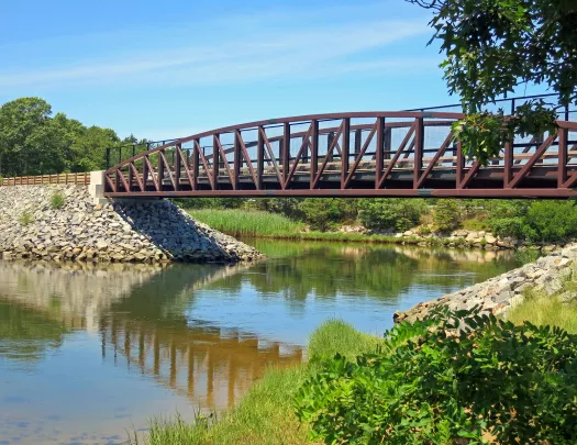 Bridge over a small river, with plants surrounding the river