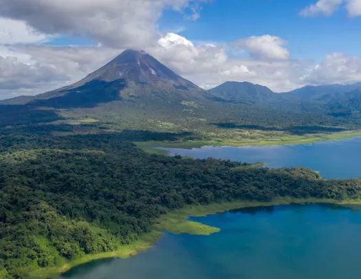 Sky view of forest surrounded by a large lake