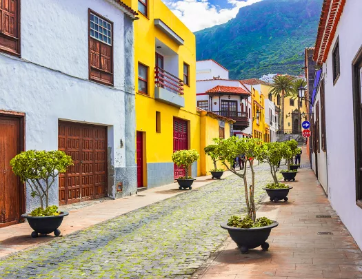 Alleyway with colorful houses and plants along a brick road