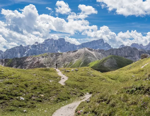 Open valley with dirt trails and tall hills