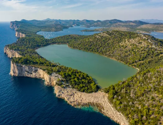 Large forest with a lake in the center, with the ocean to the left of the cliff