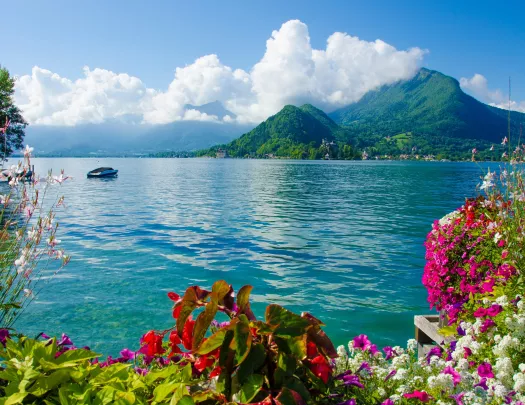 Large lake with flowers and a large mountain in the distance