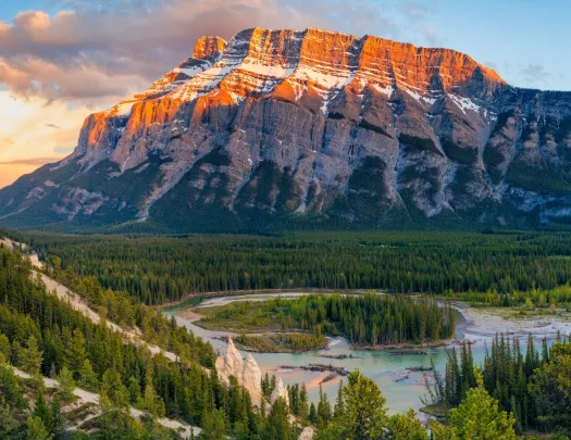 Large forest with snowcapped mountains in the distance