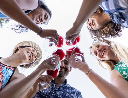 Group of people clinking their glasses of wine