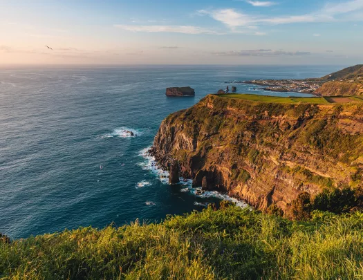 Grassy cliff overlooking the ocean