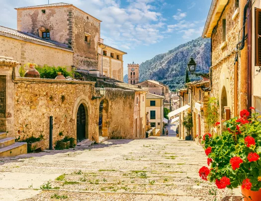 Alleyway lined with stone buildings and red roses