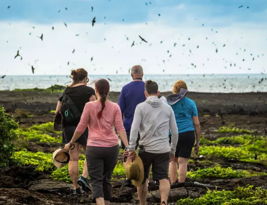 Group of men and women walking on a dirt path towards the ocean, with flocks of birds in the sky