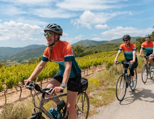 Two women and one man riding bikes on a road, with crop fields in the background