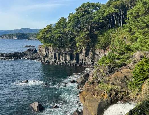 Tree-covered cliff by the edge of the ocean