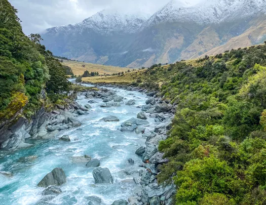 Active river with large boulders in the water, surrounded by plants and tall trees