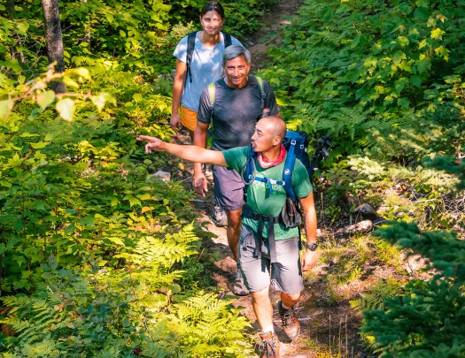 Backroads guests on a hike surrounded by greenery