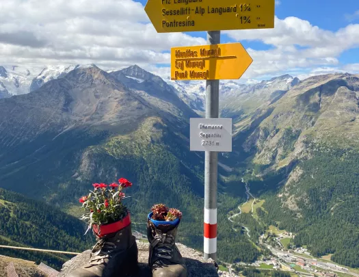 Boots with plants on top of a hill, with mountains in the distance