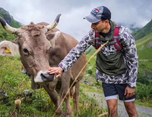 Man petting a cow in the middle of a field