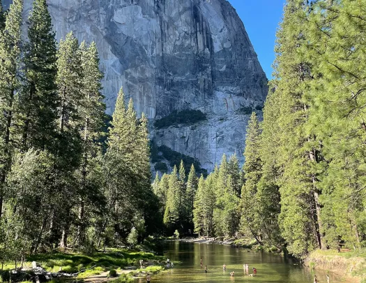 Forest with a lake in front and a large mountain in the background