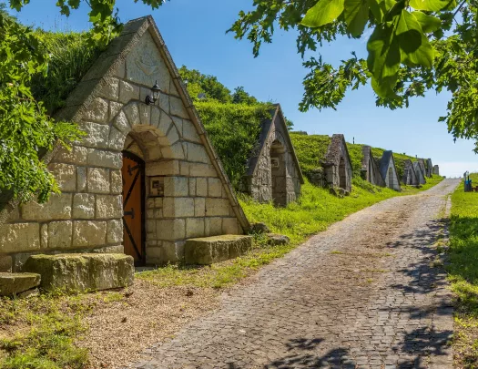 Dirt trail with a row of stone houses to the left