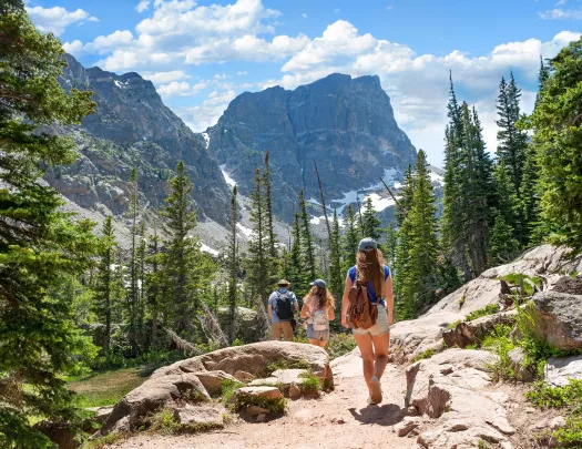 Group of people walking down a gravel trail on a hill, surrounded by tall trees