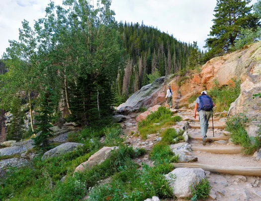 People walking up stairs in the middle of a forest towards the top of a mountain