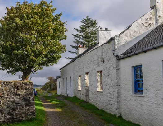 Alleyway with white, stone buildings and a large tree to the left