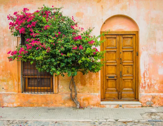 Exterior view of orange building with a small tree in front