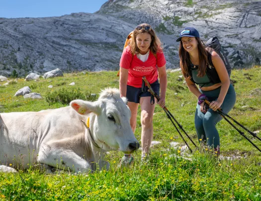 Two women kneeling down and smiling, while looking at a cow laying down