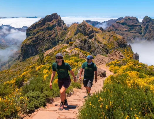Man and woman ascending a mountain, surrounded by green and yellow plants