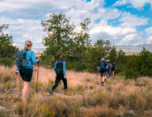 Group of people hiking along tall weeds on a dirt trail