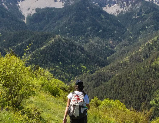 Woman descending a grassy trill, looking out towards large mountains