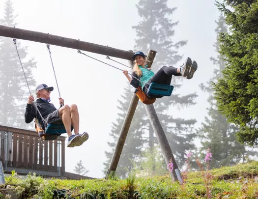 two backroads guests on a swingset