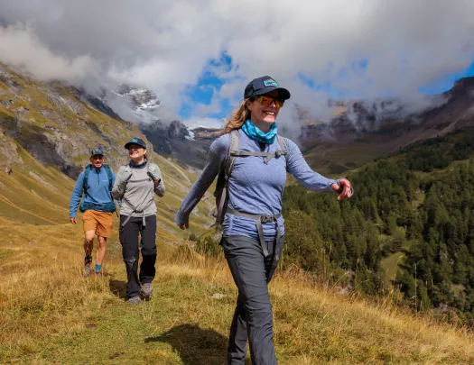 Guest laying in a field with cows