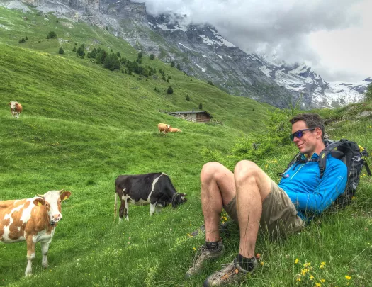 Guest laying in a field with cows